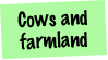 Cows and farmland
