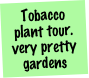Tobacco plant tour. very pretty gardens