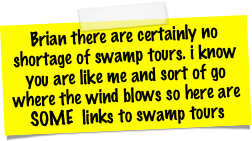 Brian there are certainly no shortage of swamp tours. i know you are like me and sort of go where the wind blows so here are SOME  links to swamp tours