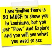 I am finding there is SO MUCH to show you in Louisiana, but you just “Flow” and Explore and you will see what you need to see