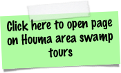 Click here to open page on Houma area swamp tours